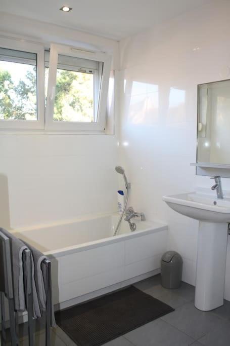 קולמר Superb Apt- Garden- 3 Parkings, Near Petite Venise ! מראה חיצוני תמונה