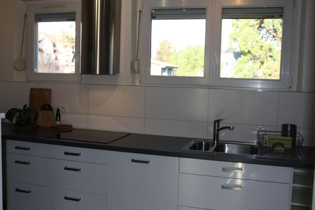 קולמר Superb Apt- Garden- 3 Parkings, Near Petite Venise ! מראה חיצוני תמונה