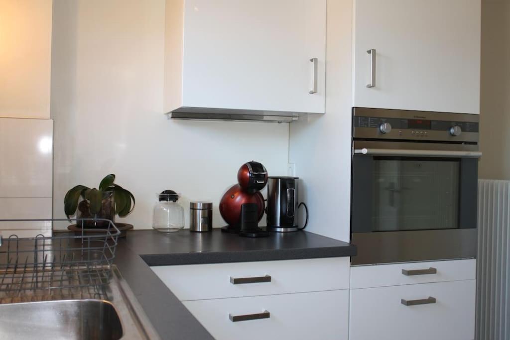 קולמר Superb Apt- Garden- 3 Parkings, Near Petite Venise ! מראה חיצוני תמונה