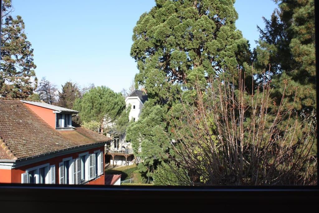 קולמר Superb Apt- Garden- 3 Parkings, Near Petite Venise ! מראה חיצוני תמונה